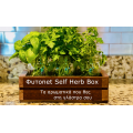 Φυτοnet Self Herb Jumbo Box Φυτοnet Self Herb Jumbo Box