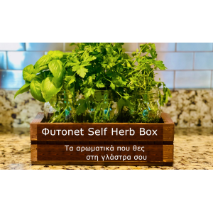 Φυτοnet Self Herb Box
