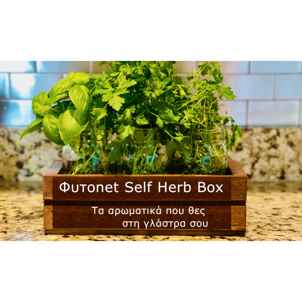 Φυτοnet Self Herb Jumbo Box Φυτοnet Self Herb Jumbo Box