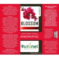 Λιπασματα για λουλουδια - Liquid Blossom λίπασμα για ανθοφορία Ανόργανα Φυτώρια - e-fytonet.gr