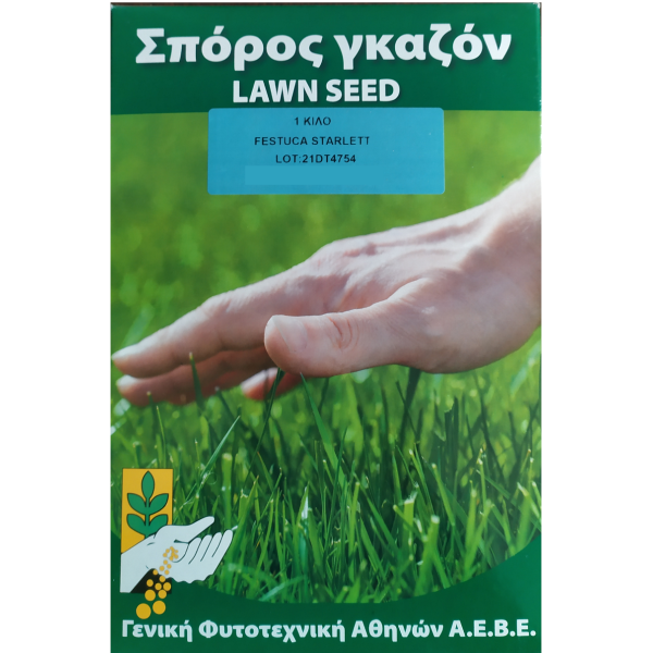 Σπόροι για γκαζόν Festuca Starlett 1κιλό