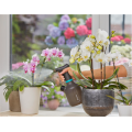 ΨΕΚΑΣΤΗΡΑΣ  ΑΝΤΛΙΑΣ GARDENA COMFORT 1 LT