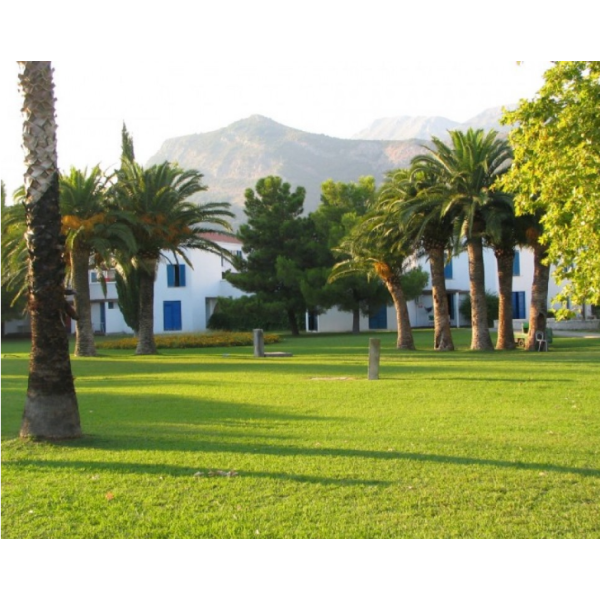 Φυσικός χλοοτάπητας Green Velvet Φυσικός χλοοτάπητας Green Velvet