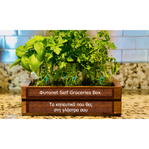 Φυτοnet Self Groseries Box