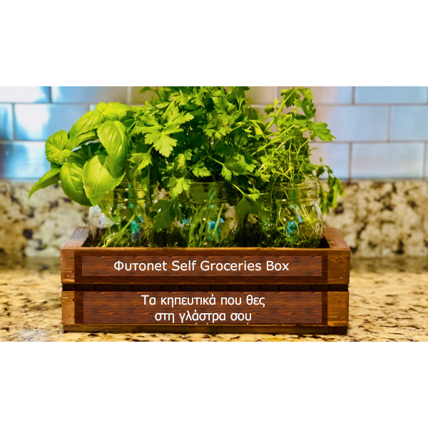 Φυτοnet Self Groseries Jumbo Box
