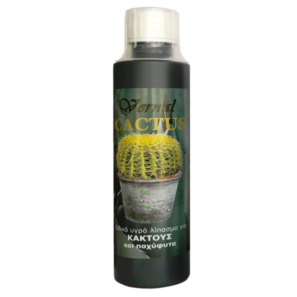 Vernal Cactus