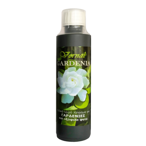 Vernal Gardenia