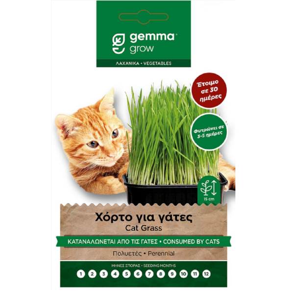 Σπόροι για Χόρτο για γάτες